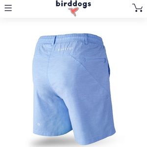 Birddogs Oxford shorts (baby blue)